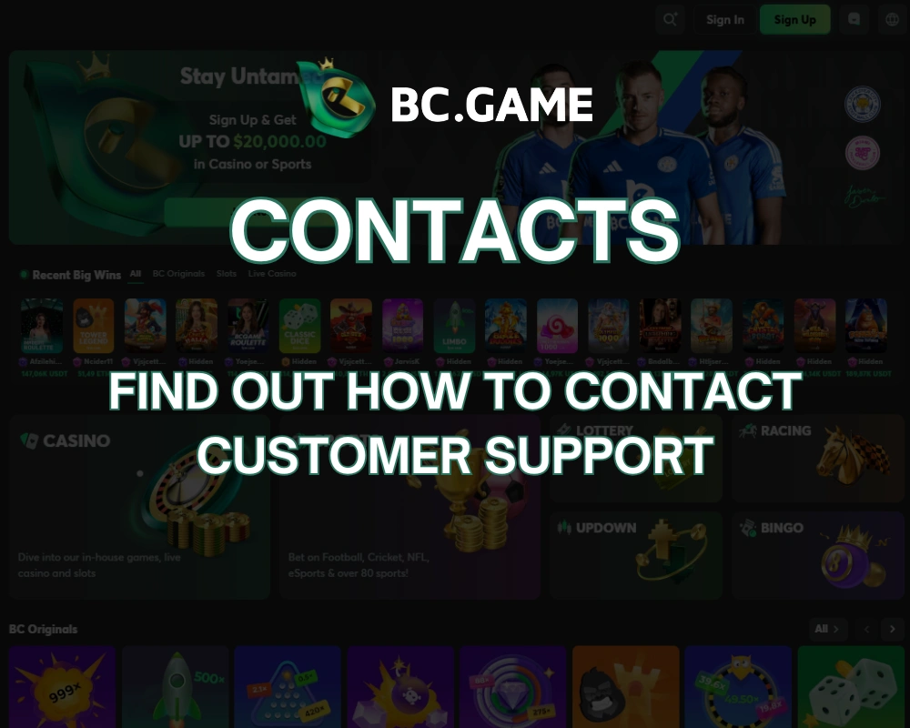 BC.Game Contact 